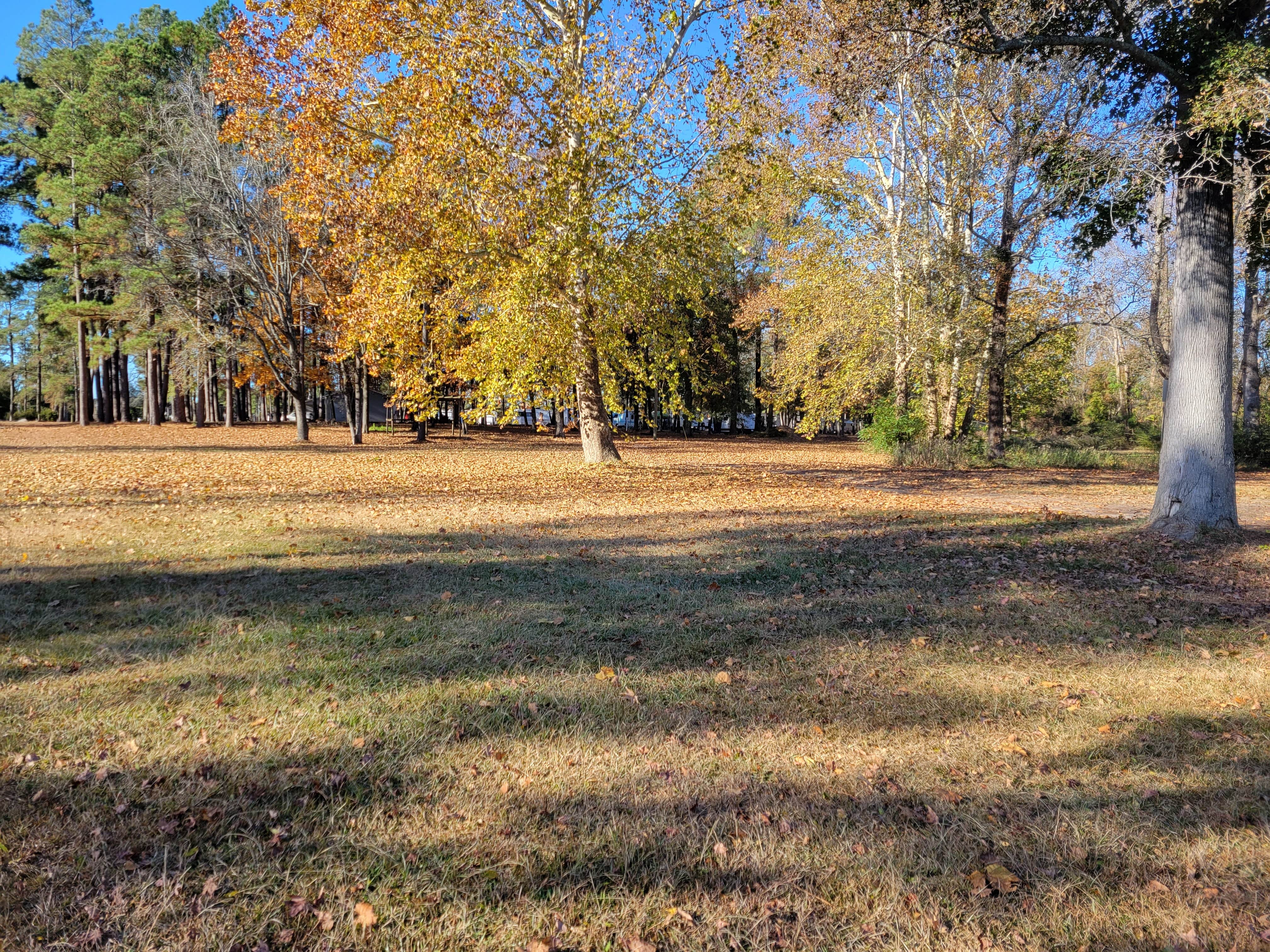 Camper-submitted photo at Dillon Bass Lake near Nichols, SC