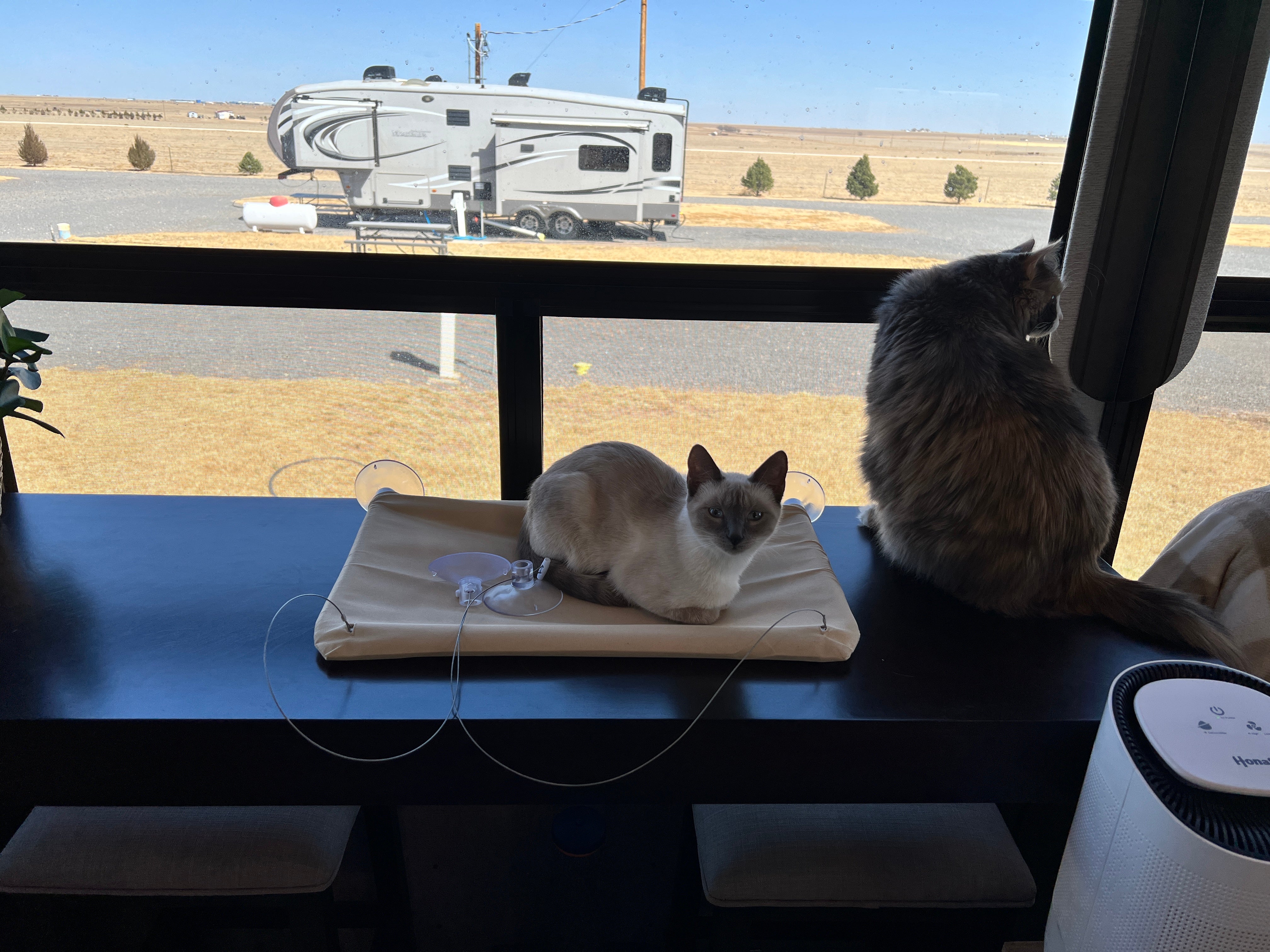 Camper submitted image from Coyote Keith’s RV Park - 1