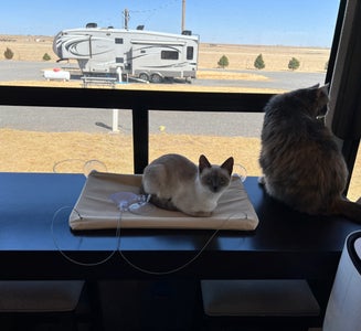Camper-submitted photo from Coyote Keith’s RV Park