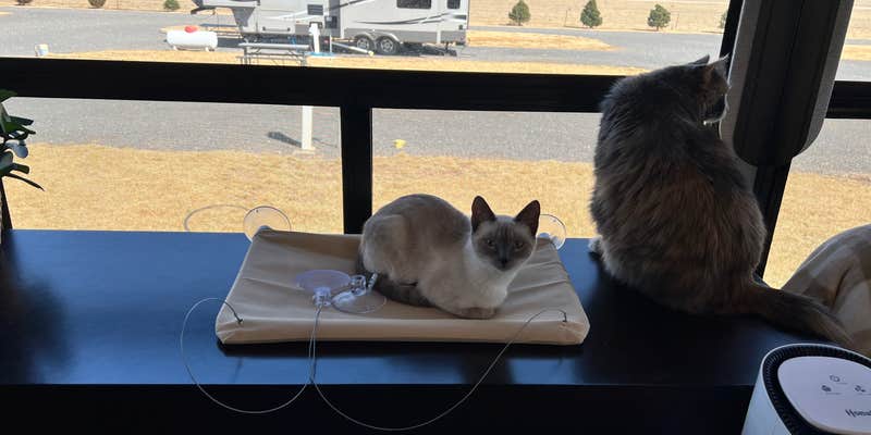 Camper submitted image from Coyote Keith’s RV Park