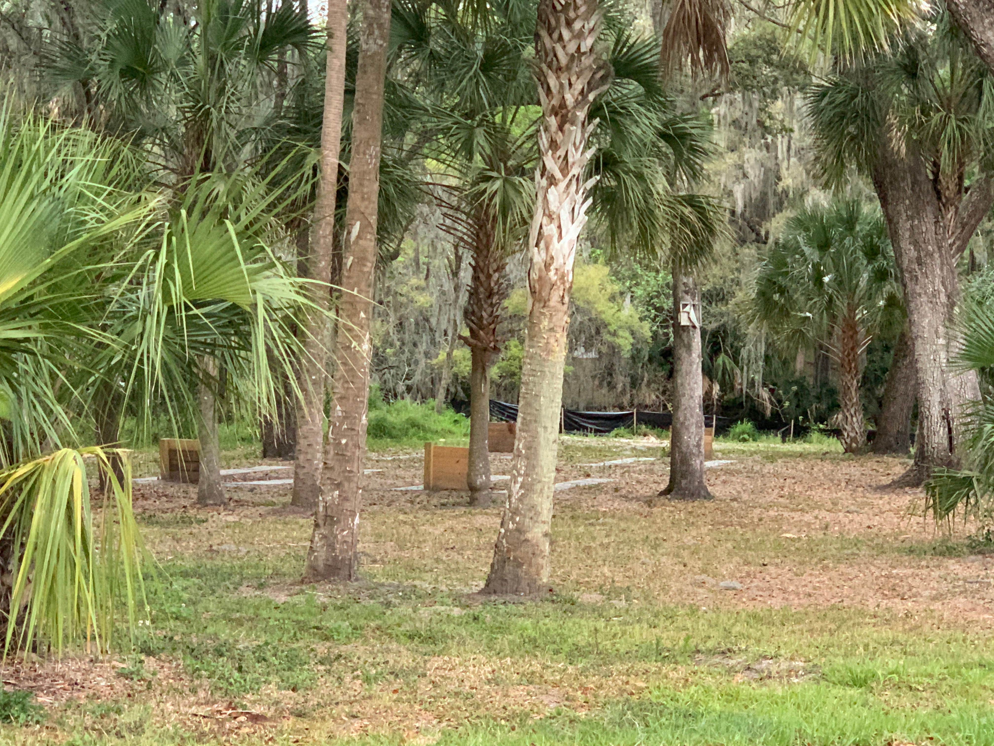 Camper-submitted photo at Hidden River RV Resort near Lamont, FL