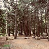 Review photo of Blackwoods Campground — Acadia National Park by Lindsey P., July 11, 2018