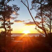 Review photo of Kiptopeke State Park Campground by Teresa C., July 11, 2018