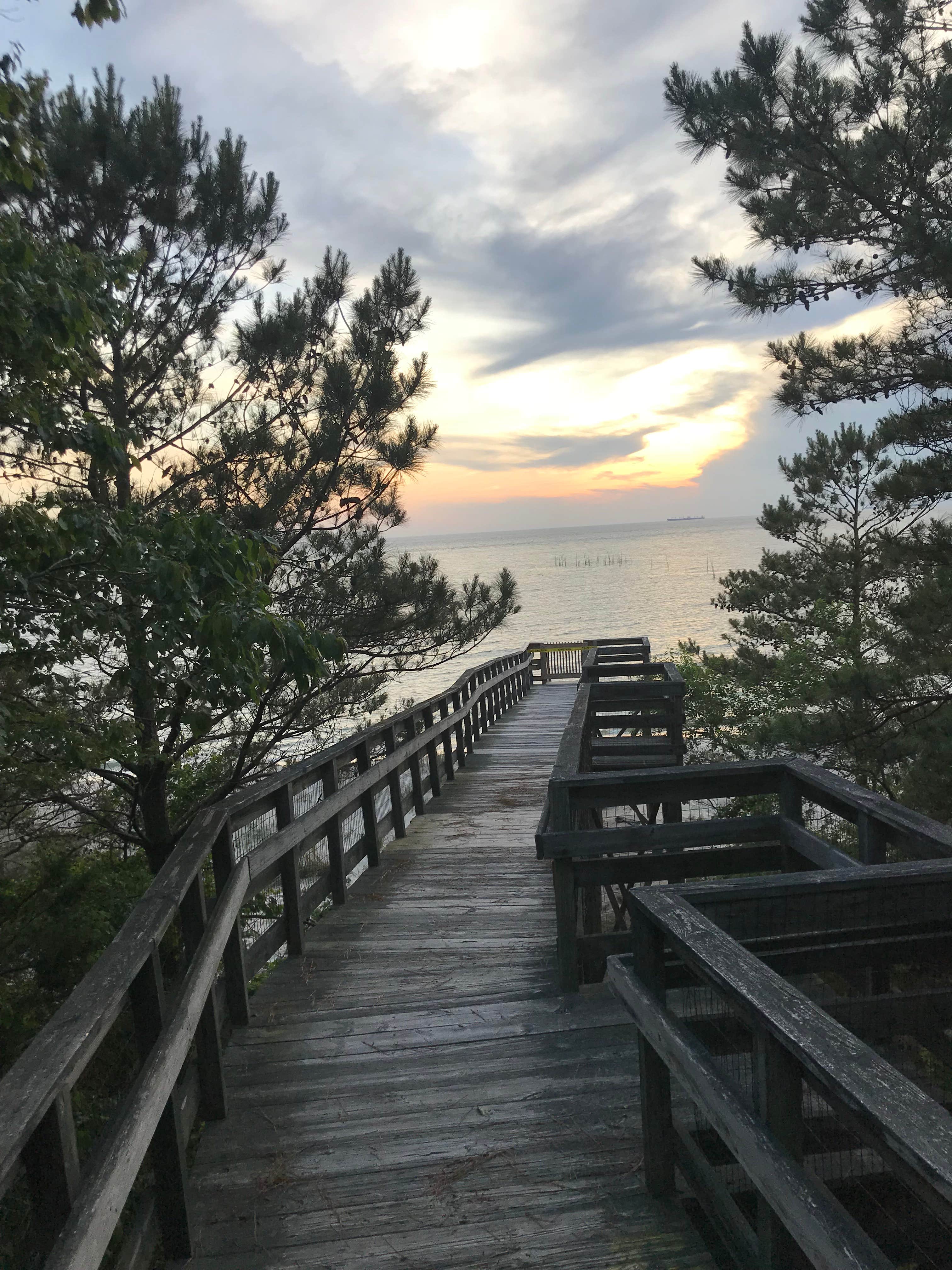 Camper submitted image from Kiptopeke State Park Campground - 3