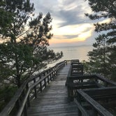 Review photo of Kiptopeke State Park Campground by Teresa C., July 11, 2018
