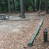 Review photo of Kiptopeke State Park Campground by Teresa C., July 11, 2018