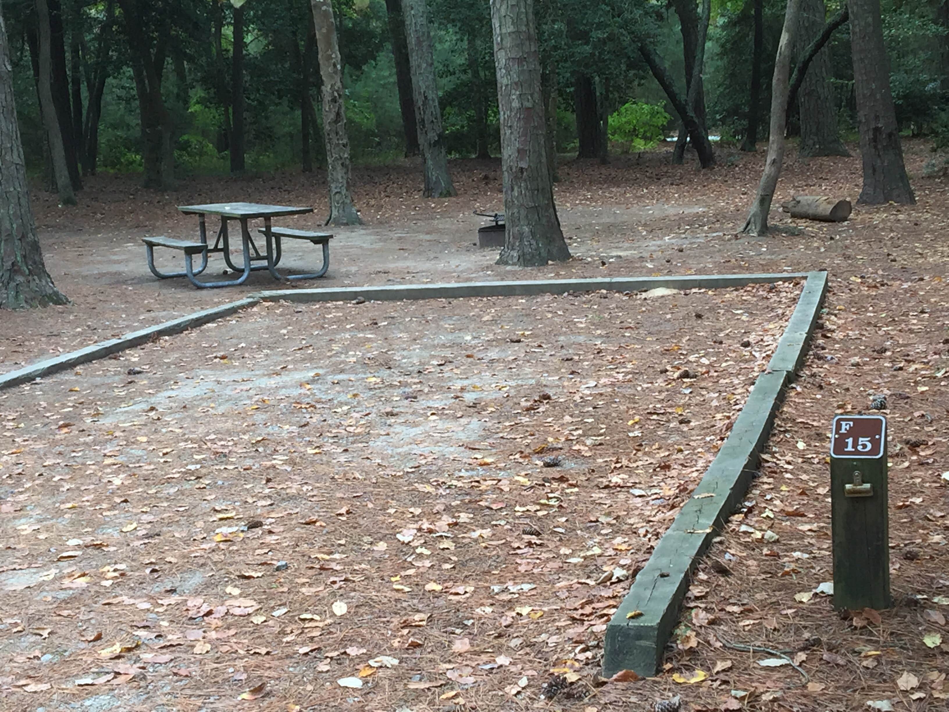 Camper submitted image from Kiptopeke State Park Campground - 2