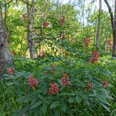 Review photo of Palmetto State Park Campground by Ari A., April 1, 2022