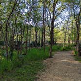 Review photo of Palmetto State Park Campground by Ari A., April 1, 2022