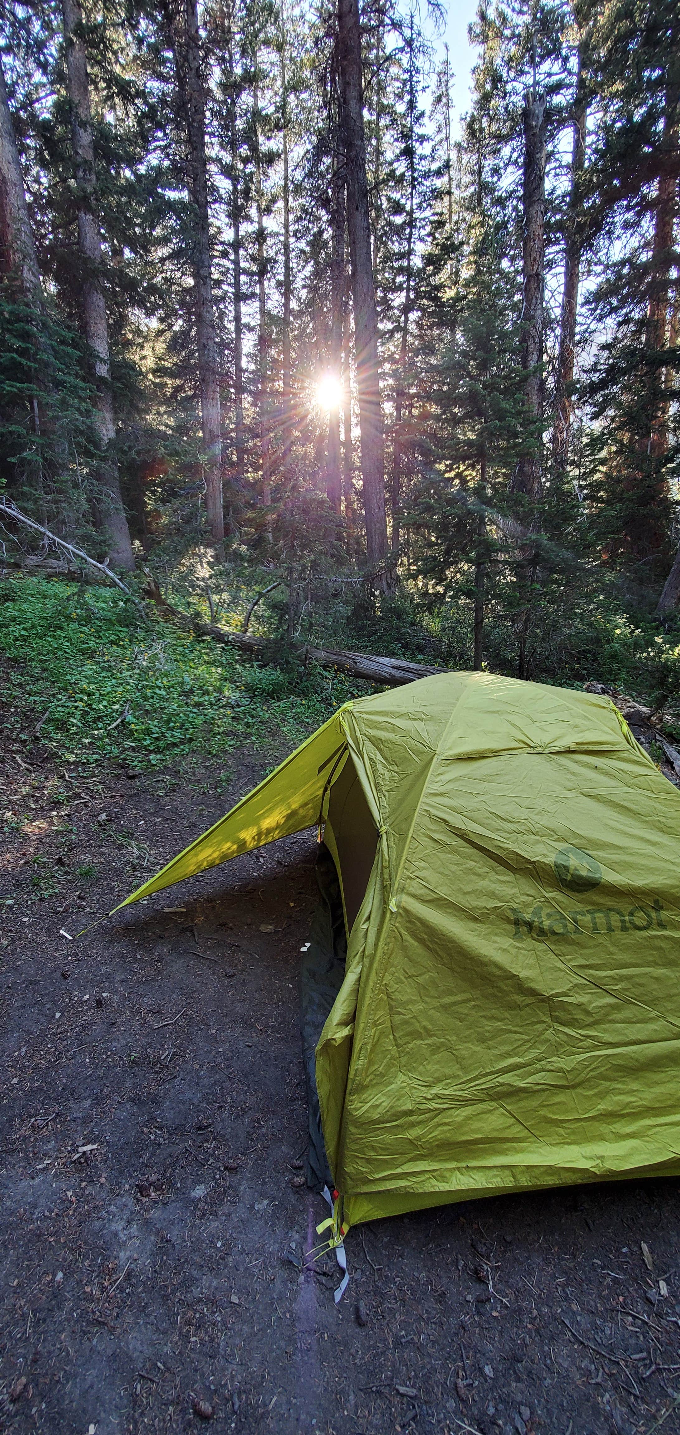 James R.'s photo of tent camping at Open Canyon — Grand Teton National Park near Wilson, WY