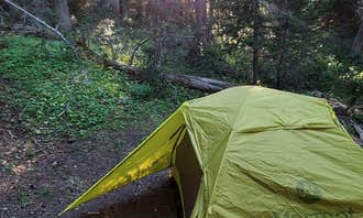 Camping near Phelps Lake — Grand Teton National Park: Open Canyon — Grand Teton National Park, Teton Village, Wyoming