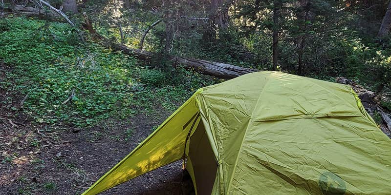 Camper submitted image from Open Canyon — Grand Teton National Park