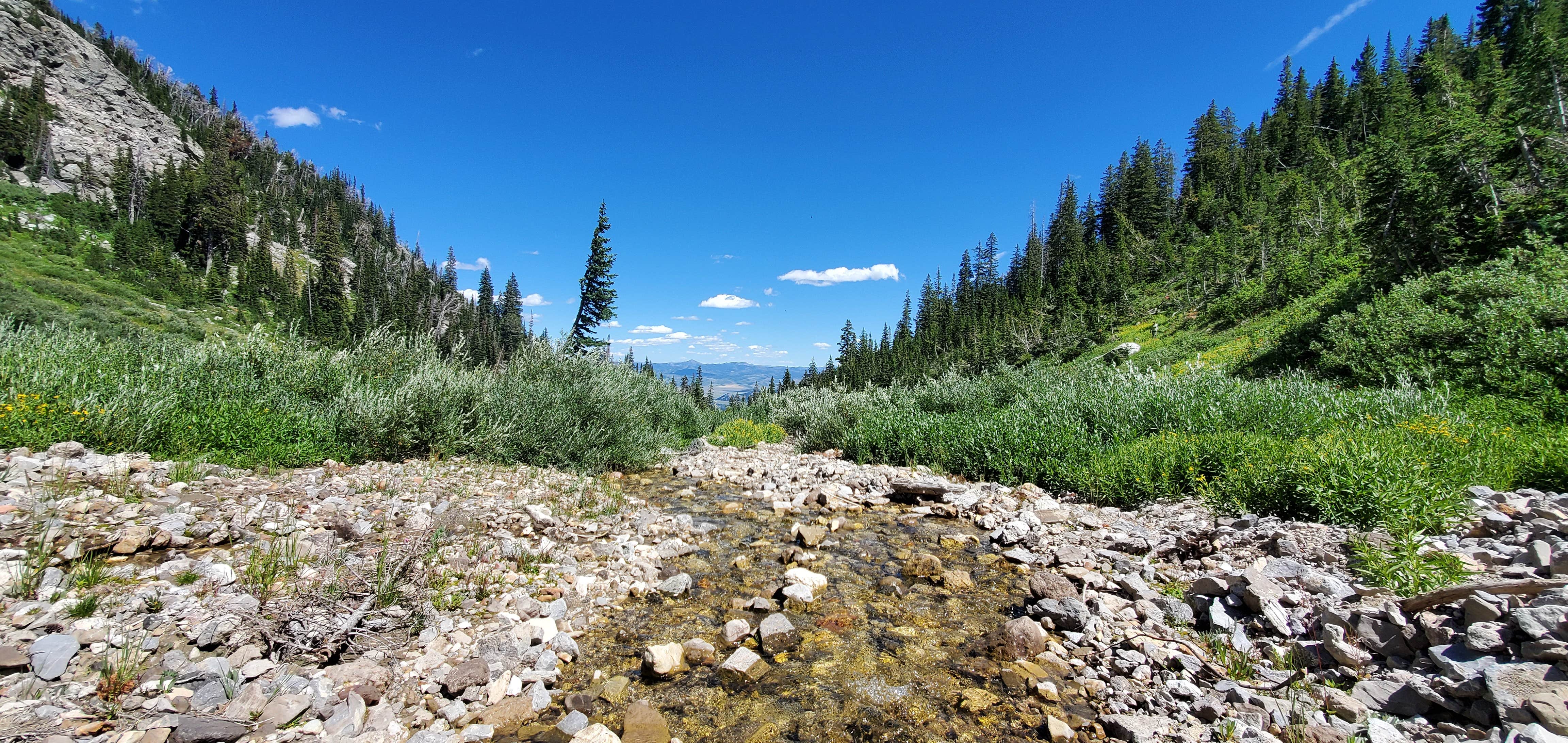 Camper-submitted photo at Open Canyon — Grand Teton National Park near Wilson, WY
