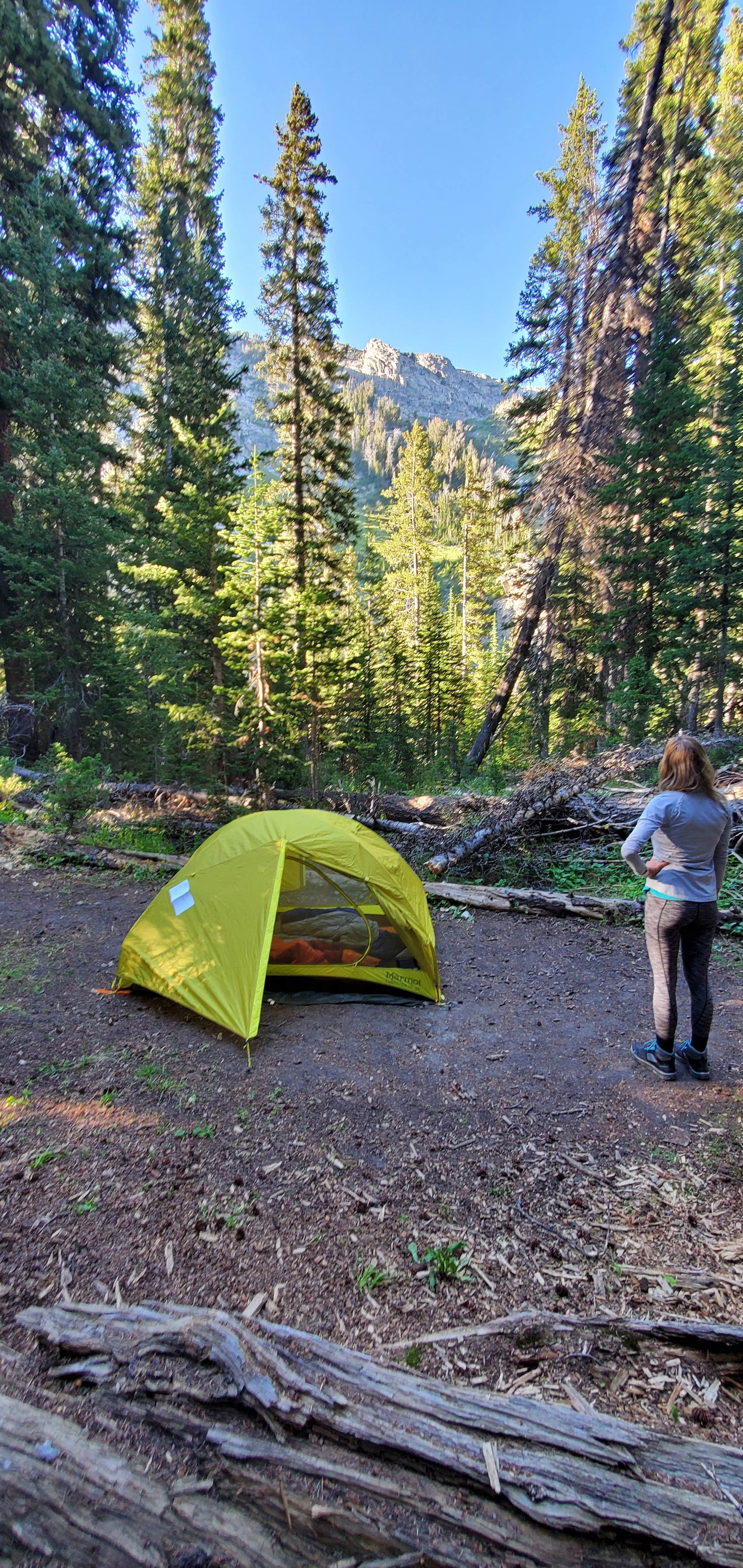 Camper-submitted photo at Open Canyon — Grand Teton National Park near Wilson, WY