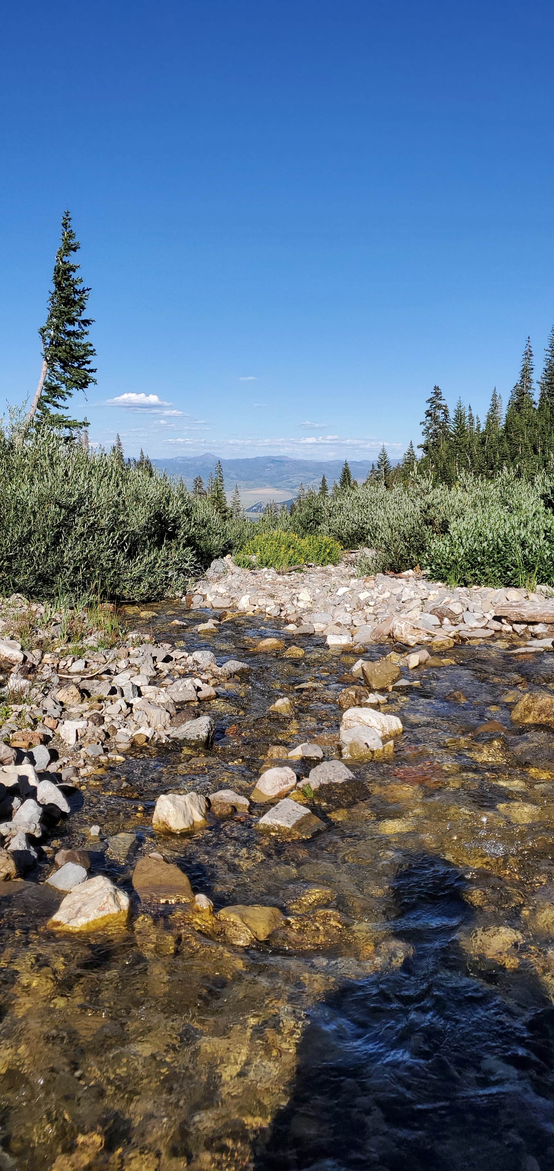 Camper submitted image from Open Canyon — Grand Teton National Park - 2