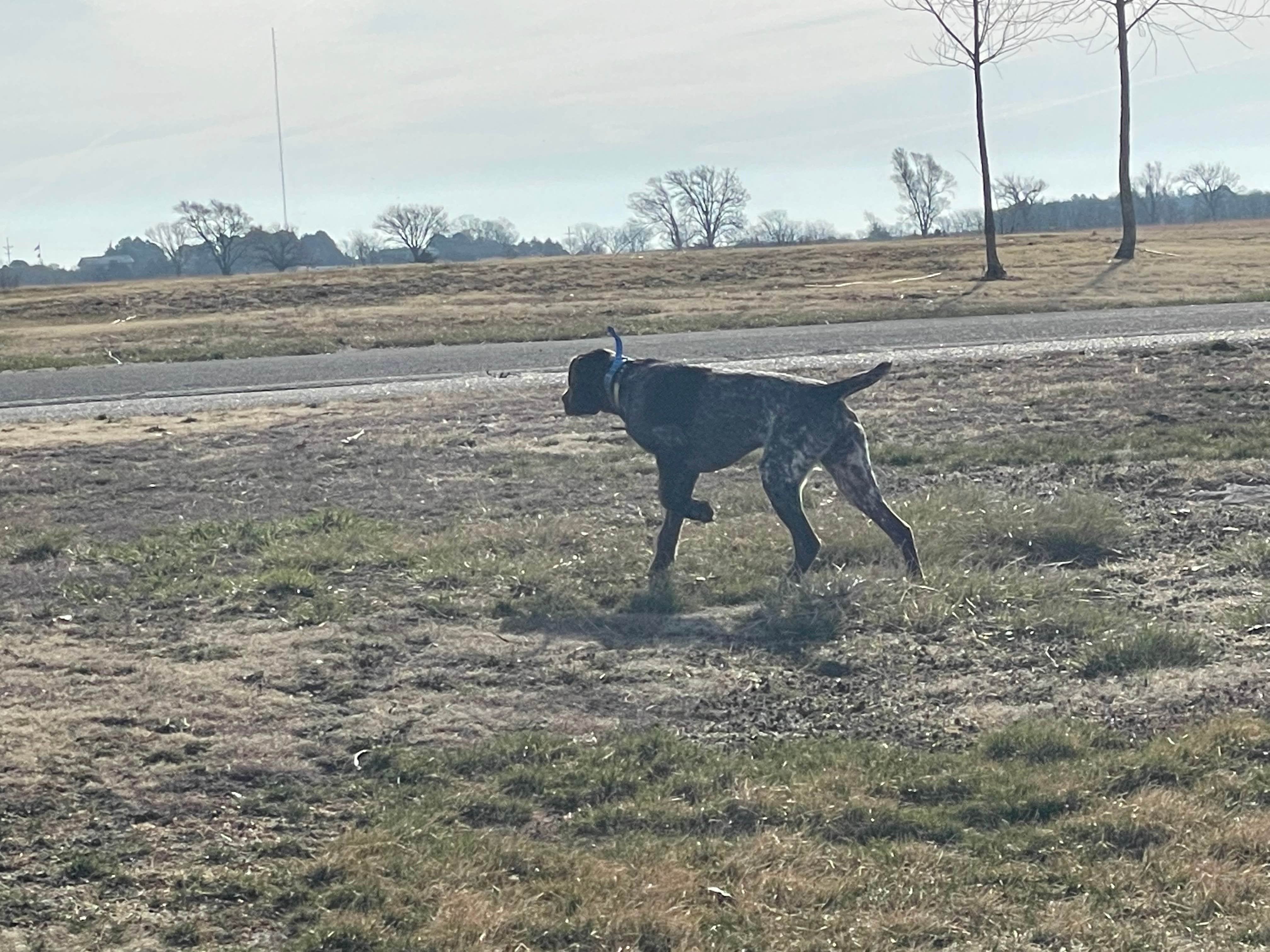 2 B.'s photo of camping with pets at Kaw Campground— Glen Elder State Park near Stockton, KS