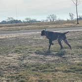 Review photo of Kaw - Glen Elder State Park by 2 B., April 1, 2022