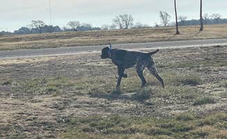 2 B.'s photo of camping with pets at Kaw Campground— Glen Elder State Park near Minneapolis, KS