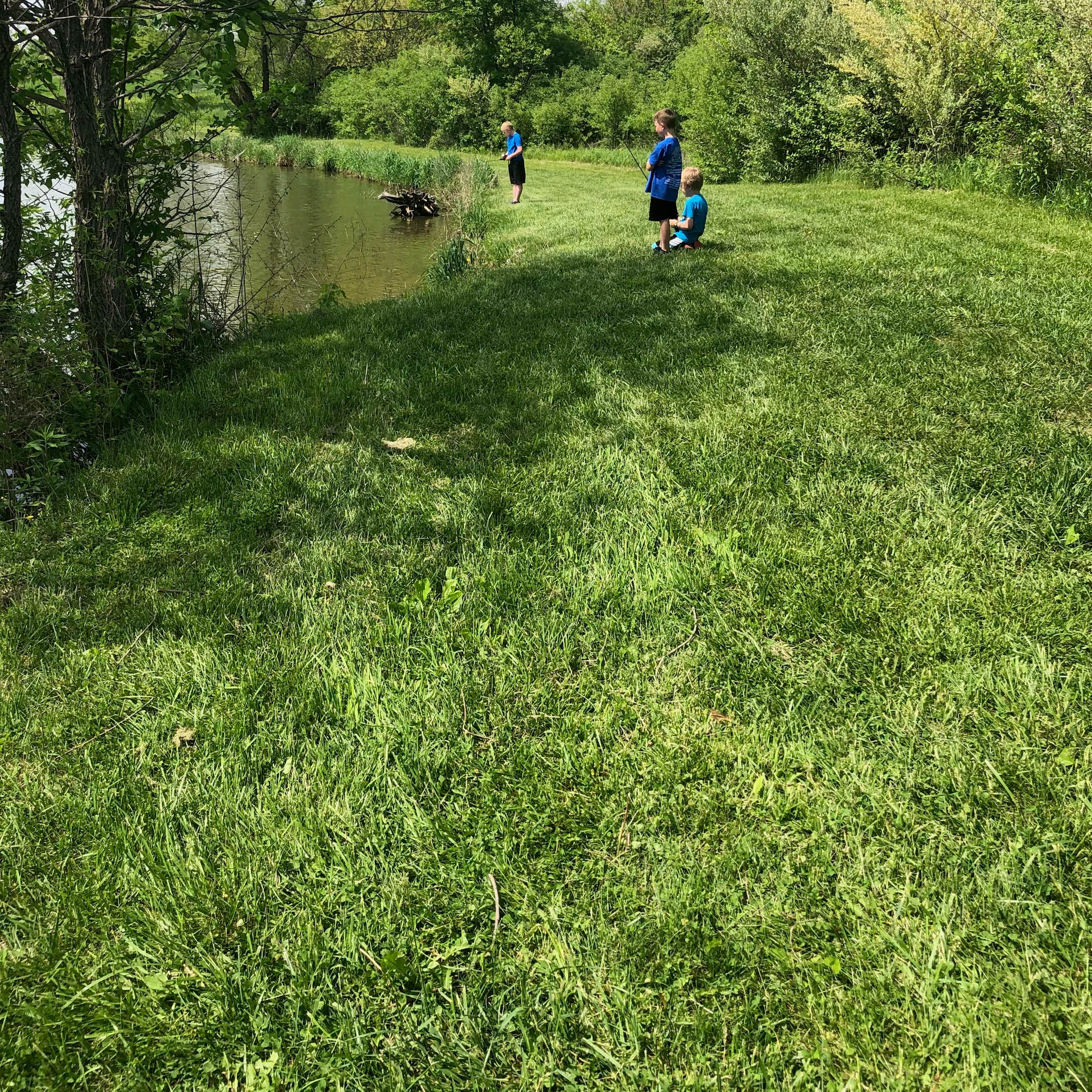 Park Terrace Campground West Lake Park Camping The Dyrt