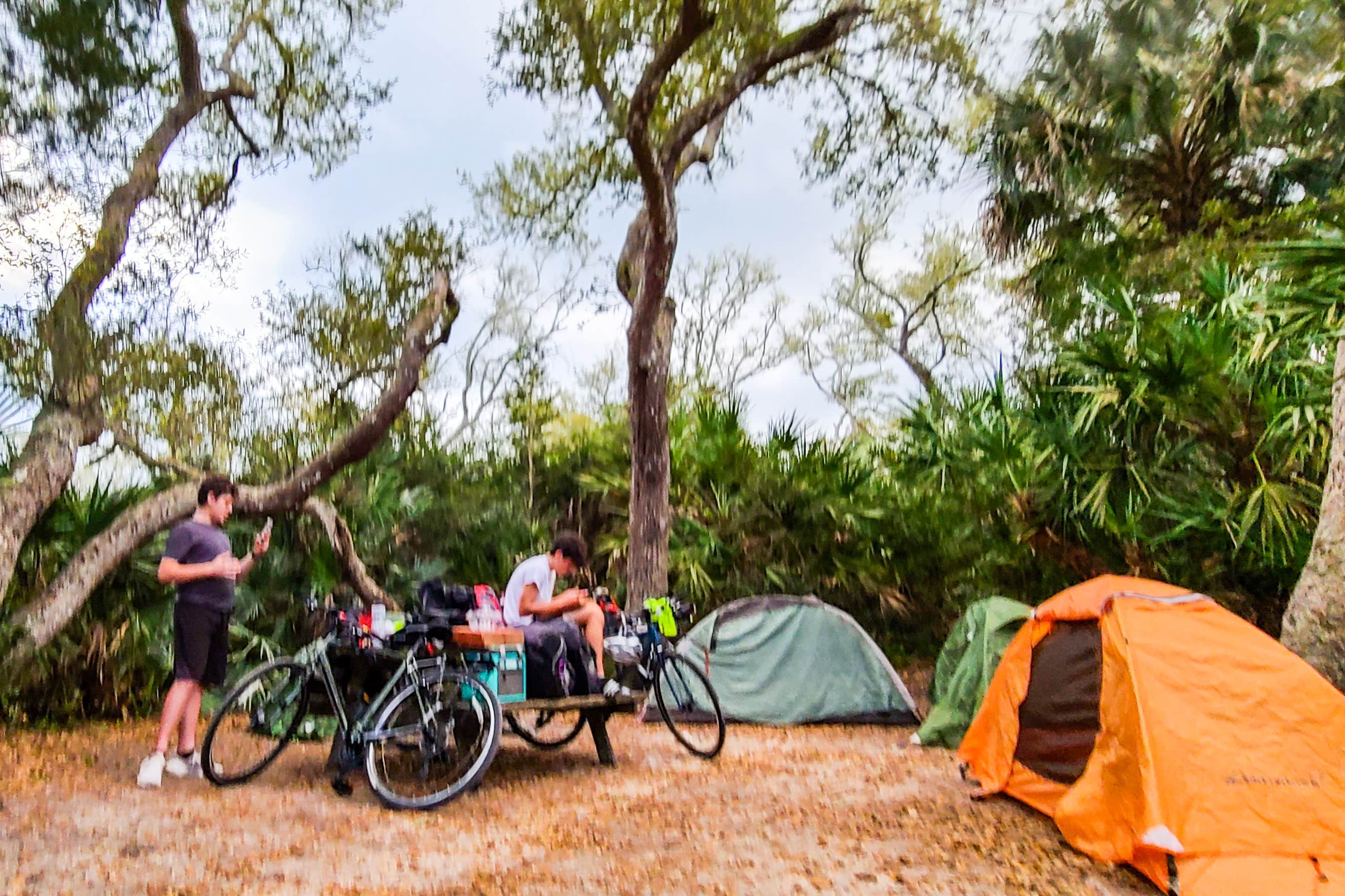 Erica S.'s photo at North Beach Camp Resort near St. Augustine, FL