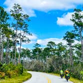 Review photo of Long Pine Key Campground — Everglades National Park by Erica S., April 1, 2022