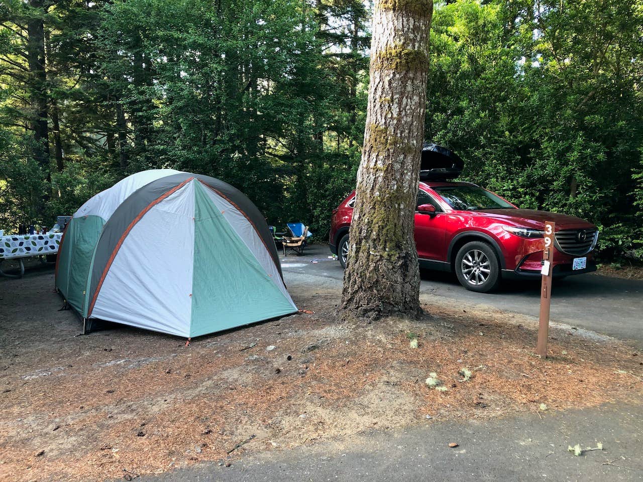 Jeff K.'s photo at Umpqua Lighthouse State Park Campground near Lakeside, OR
