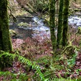 Review photo of Smith Creek Village — Silver Falls State Park by Jeff K., April 1, 2022