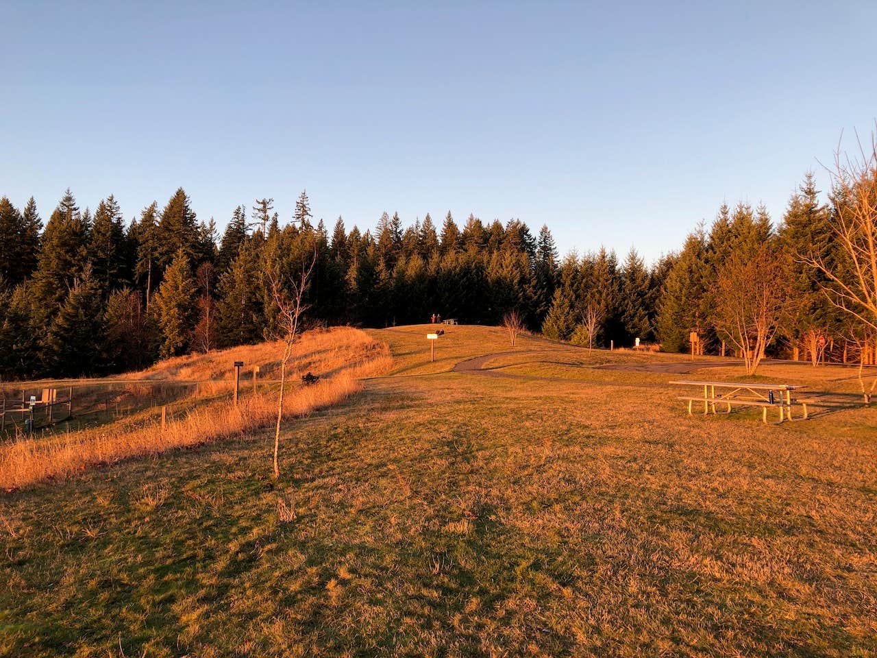 Camper-submitted photo at Mountaindale Cabin Village — L.L. Stub Stewart Memorial State Park near Warren, OR