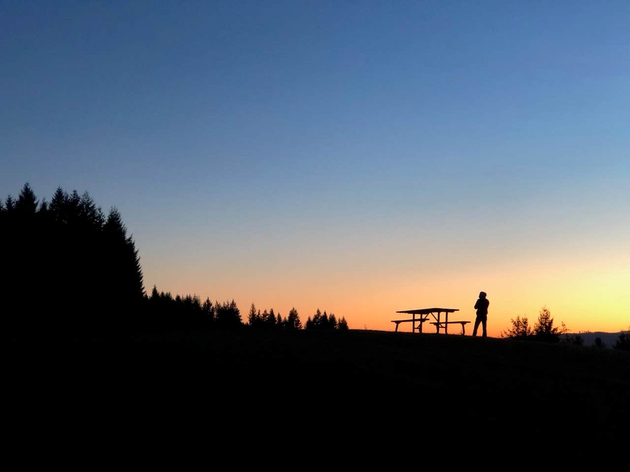 Camper submitted image from Mountaindale Cabin Village — L.L. Stub Stewart Memorial State Park - 4