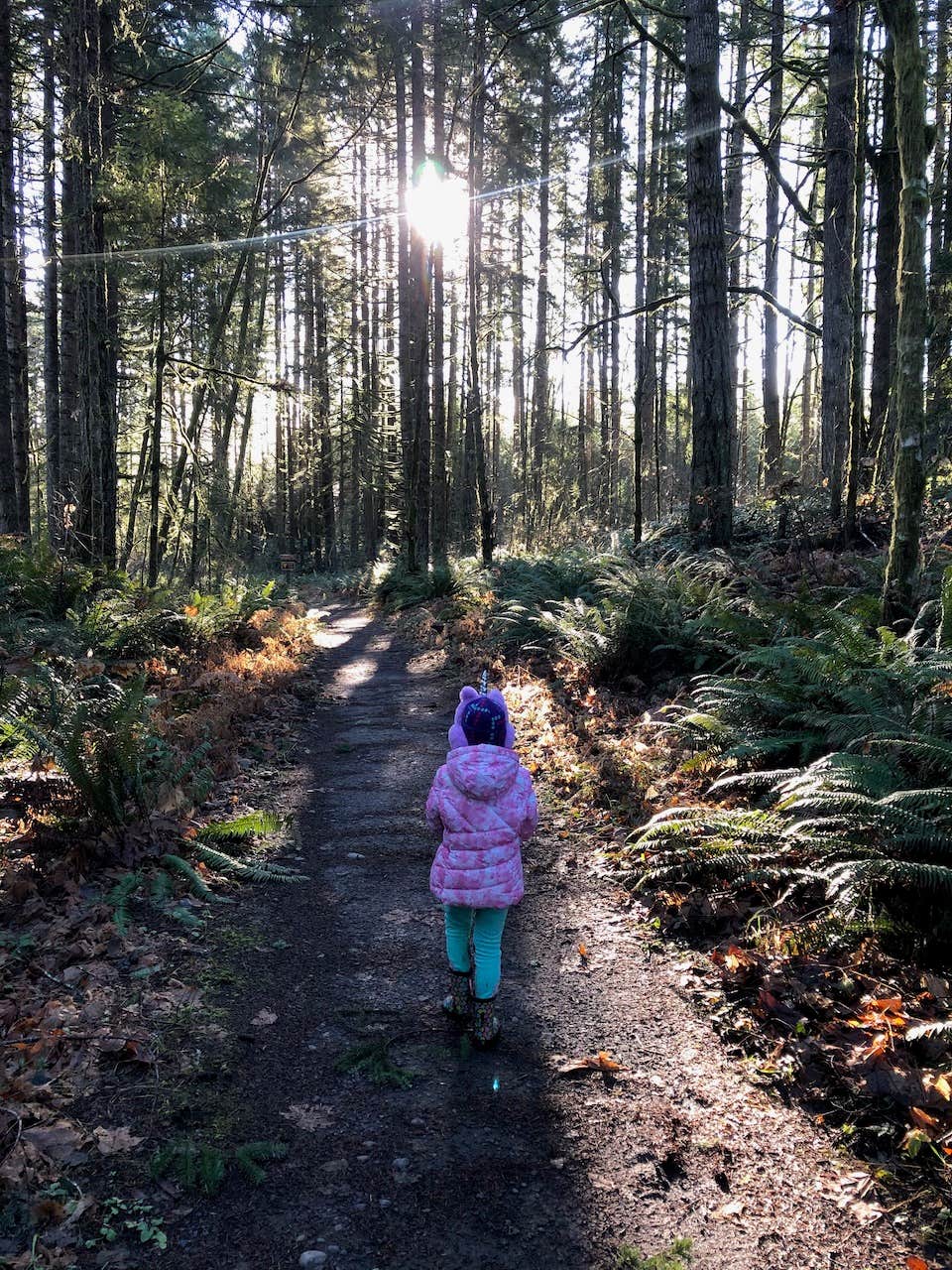 Camper-submitted photo at Mountaindale Cabin Village — L.L. Stub Stewart Memorial State Park near Warren, OR