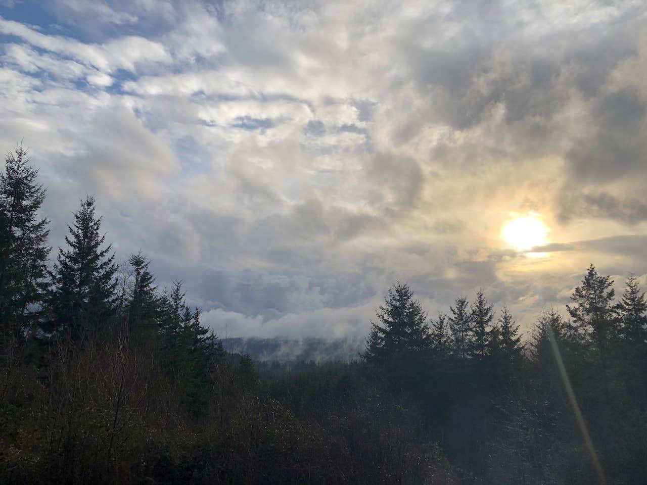 Camper-submitted photo at Mountaindale Cabin Village — L.L. Stub Stewart Memorial State Park near Warren, OR