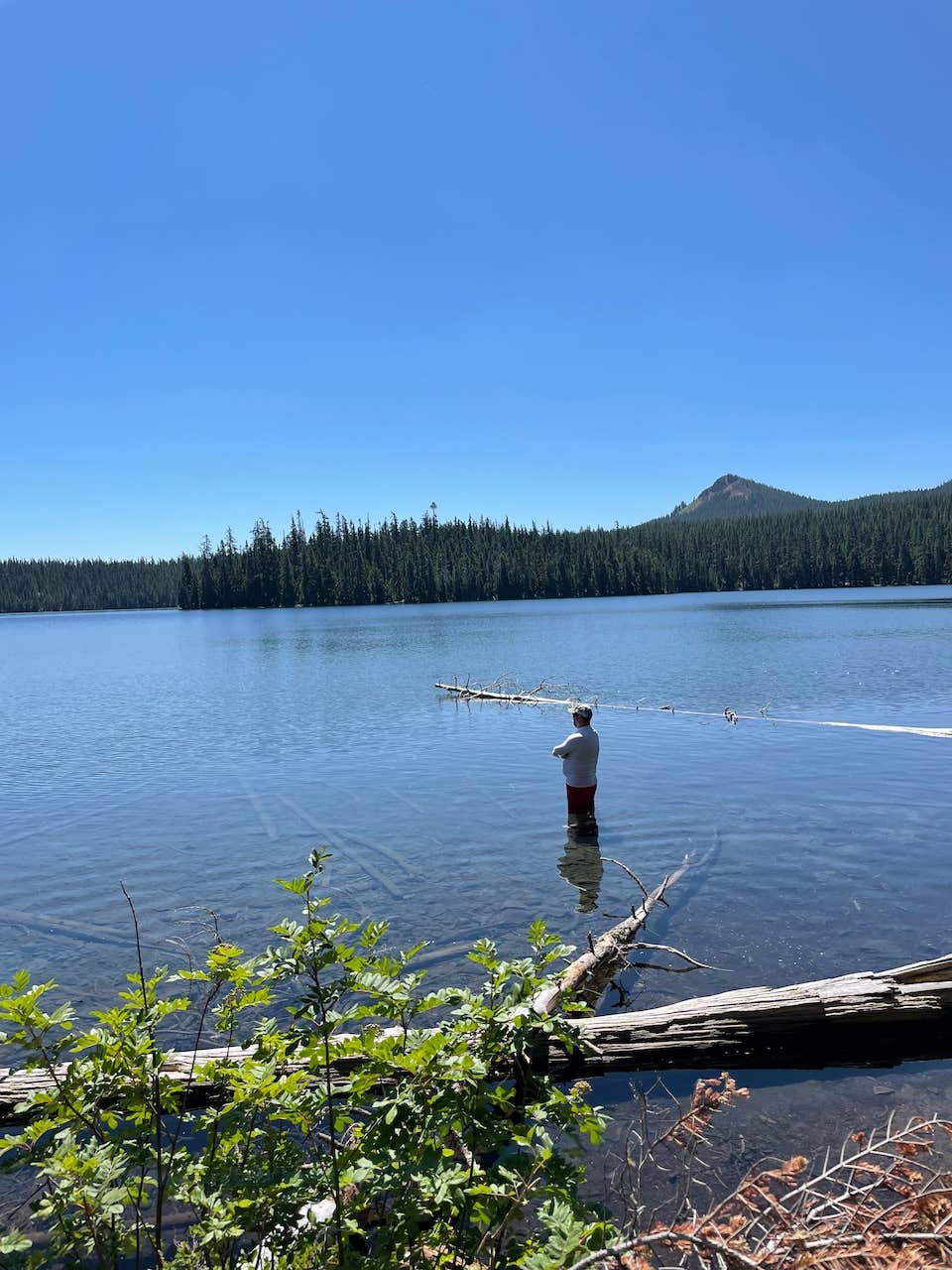 Camper submitted image from North Waldo Lake - 3