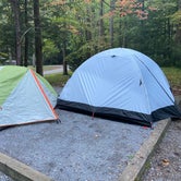 Review photo of Elkmont Campground — Great Smoky Mountains National Park by Kyle S., April 2, 2022