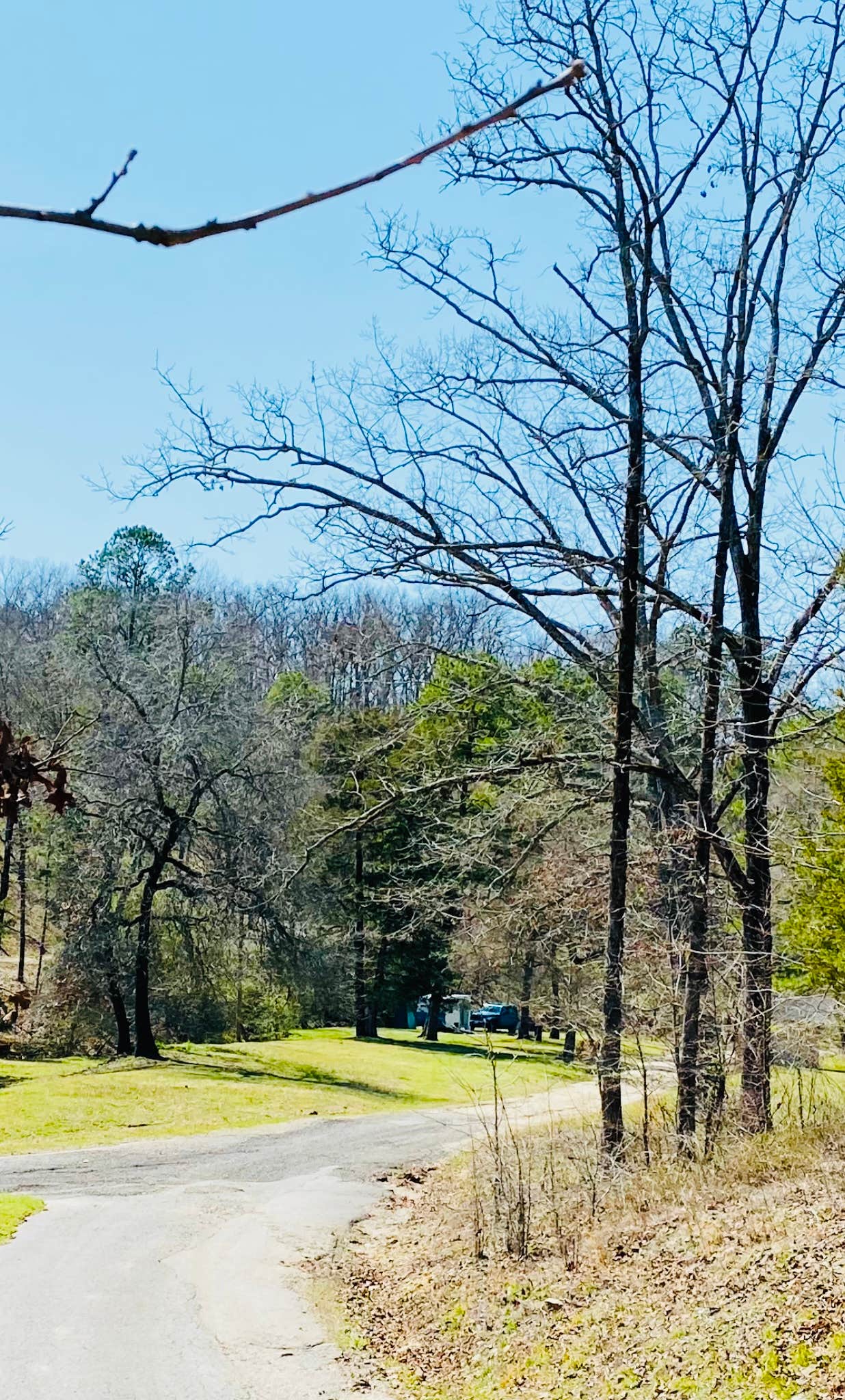 Camping near Hot Springs National Park KOA: Spa City Hipcamp, Hot Springs, Arkansas