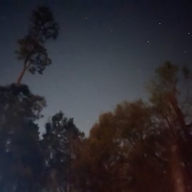 Minimal light pollution was great for stargazing. Photo taken with long exposure.