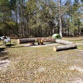 Review photo of Fontainebleau State Park Campground by Elizabeth M., April 2, 2022