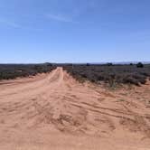 Review photo of BLM Mineral Point Road Dispersed Camping by Greg L., April 2, 2022