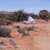 Review photo of BLM Mineral Point Road Dispersed Camping by Greg L., April 2, 2022