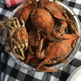 Review photo of Kiptopeke State Park Campground by Teresa C., July 11, 2018