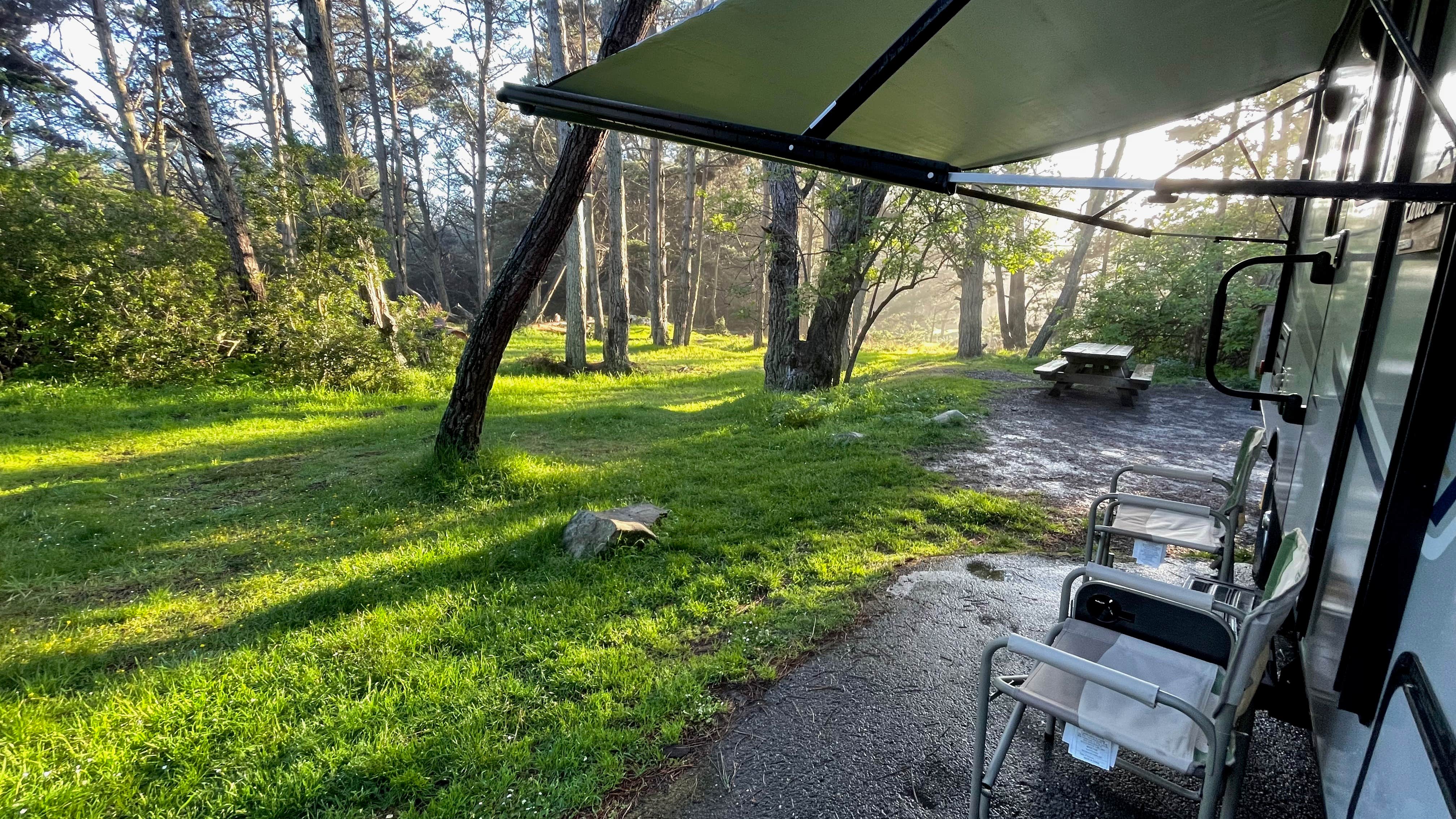 Camper submitted image from Stillwater Cove Regional Park - 4