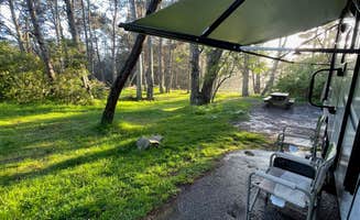 Michael C.'s photo at Stillwater Cove Regional Park near Cazadero, CA