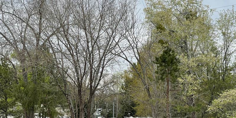 Camper submitted image from Commerce Station RV Resort