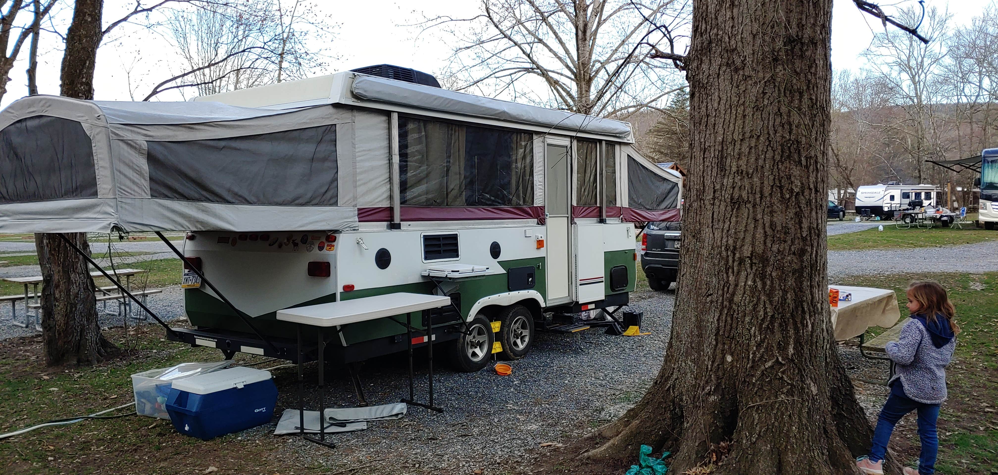 Camper submitted image from Mountain Creek Camp Ground - 4