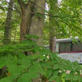 Review photo of Bayley's Camping Resort by Benjamin A., April 2, 2022