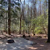 Review photo of Vogel State Park Campground by Elizabeth M., March 27, 2022