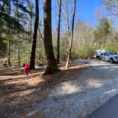 Review photo of Vogel State Park Campground by Elizabeth M., March 27, 2022