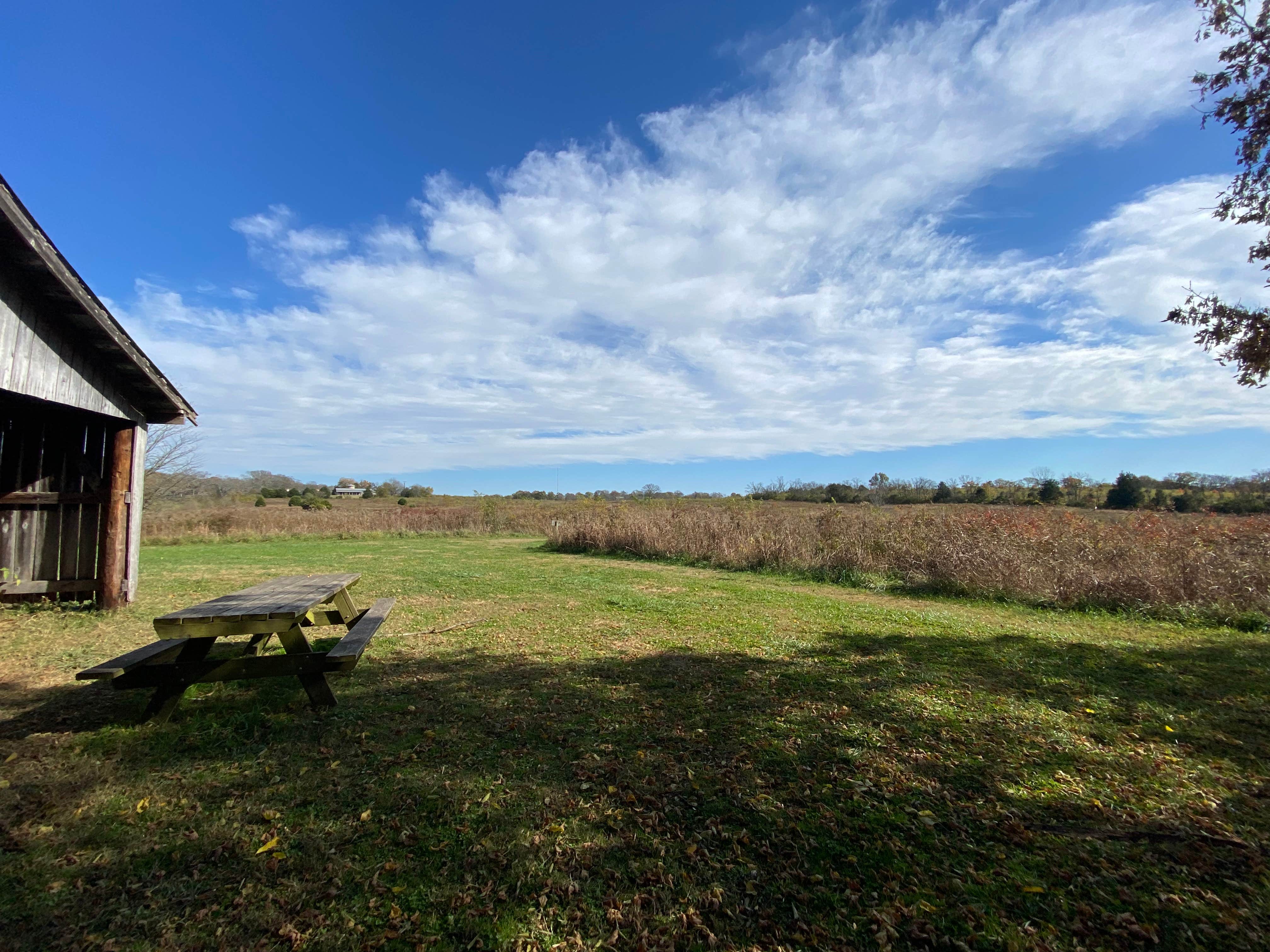Camper-submitted photo at Bells Bend Park near Springfield, TN