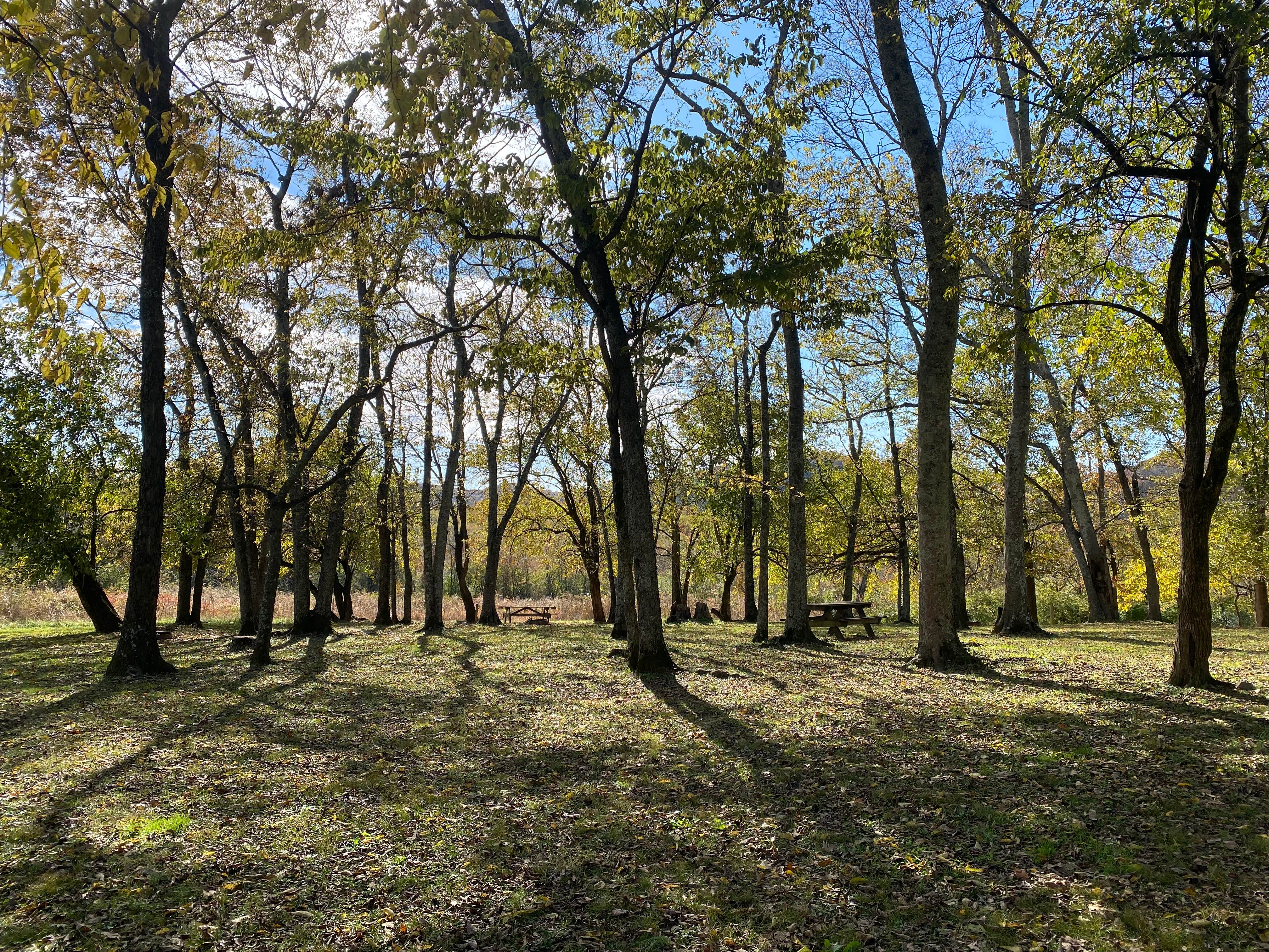 Camper-submitted photo at Bells Bend Park near Springfield, TN