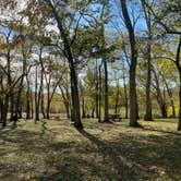 Review photo of Bells Bend Park by Krista A., April 3, 2022