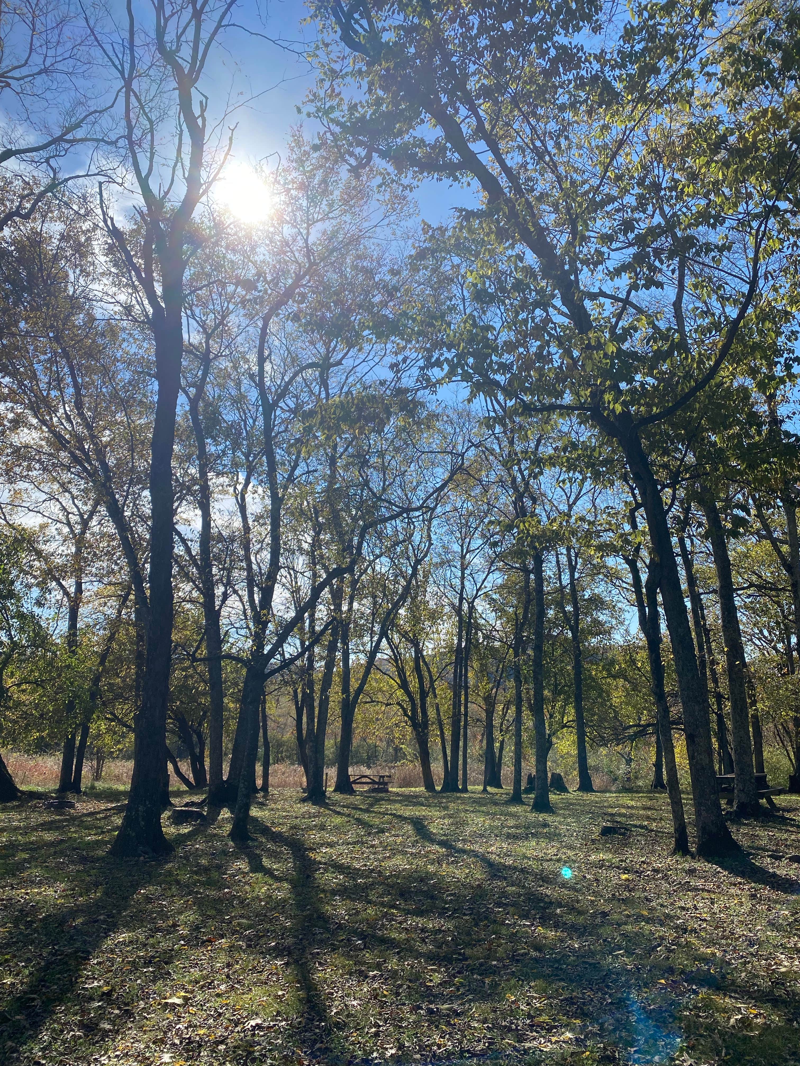 Camper-submitted photo at Bells Bend Park near Springfield, TN